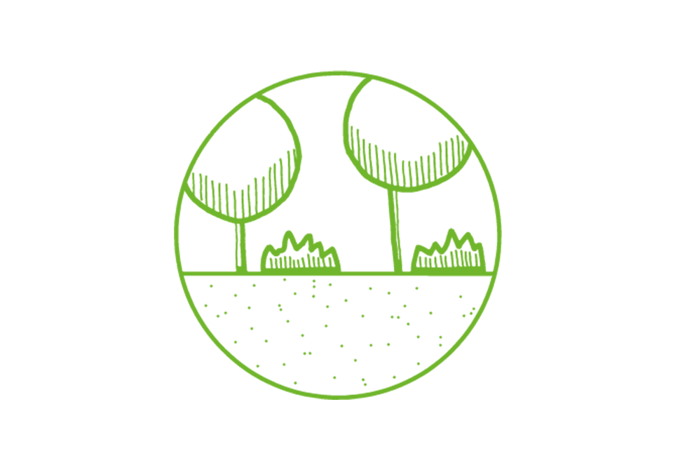 Qualitätsprinzip Optimale Baum- und Pflanzstandorte realisieren!